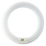 Osram T9 Lumilux Circline 32W - 840 Kaltweiß | 30cm